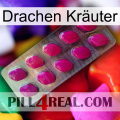 Drachen Kräuter 09
